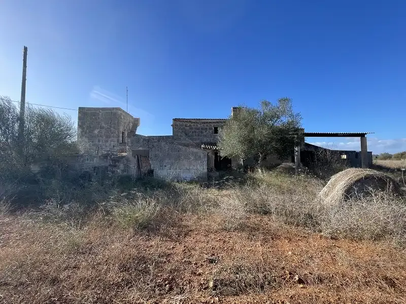 Finca to renovate, perfect for keeping animals — photo 11