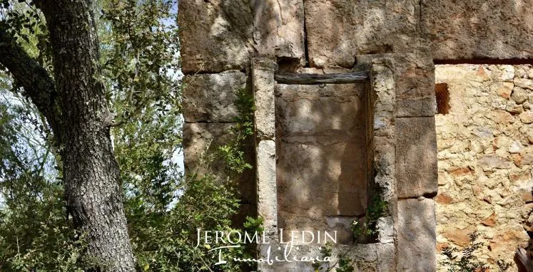 Constructible land with vineyards near Felanitx — photo 2