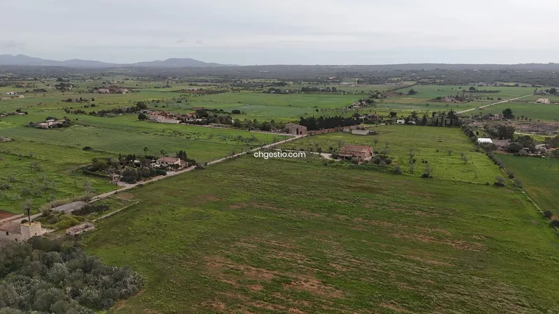 Plot in Campos — photo 10