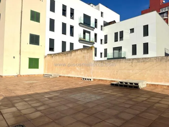 Apartment in Palma de Mallorca — photo 11
