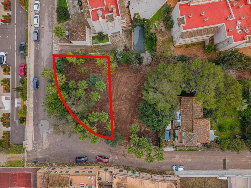 Land in Son Servera, Mallorca — photo 5