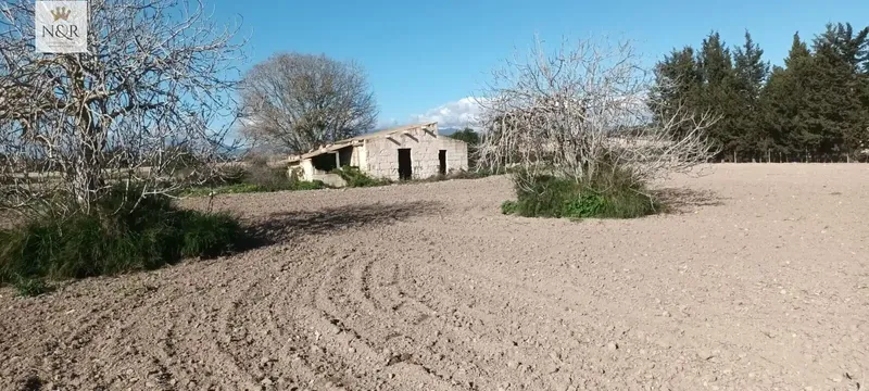 IKV00406-1. Rustic estate for sale in Muro with agricultural house of 37 m² to renovate, built before 1956, duly — photo 5