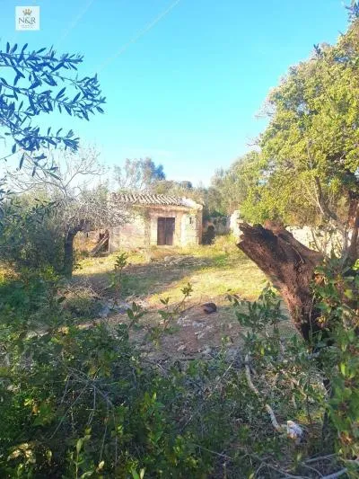 Rustic property in Sencelles, built surface 19 m², plot surface 45354 m², distance to the sea 20 km — photo 1