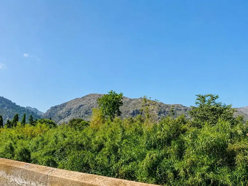 Spacious village house in Pollença with interior patio and solarium with views of the Serra de Tramuntana — photo 3
