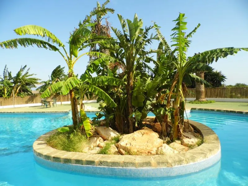 Finca with 23 places / license with pool and many extras at Cala de Mallorca ---- F 50 CM — photo 3