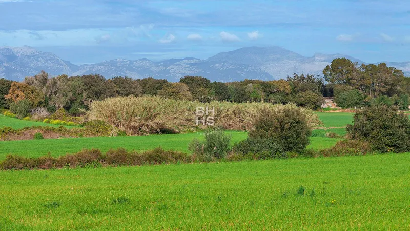 Country plot for sale in Muro — photo 10