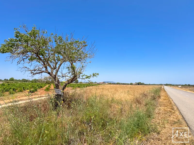 Between heaven and earth – natural plot with distant views — photo 8