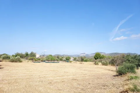 Land in Inca, Mallorca — photo 3
