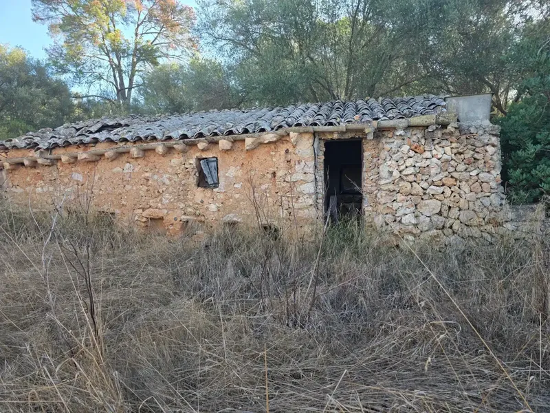 Located in an idyllic setting, surrounded by nature and a step from Costitx, we offer this rustic estate of about 36,000m2 populated with vegetation — photo 10
