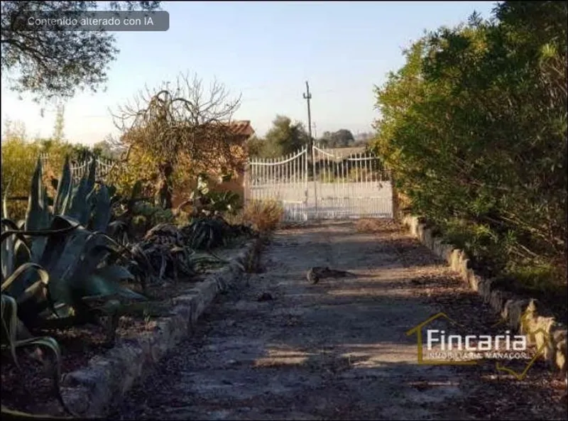 Country House in Sa Pobla, Province of Balearic Islands — photo 12