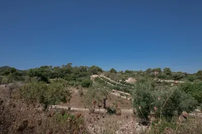 Land with sea views and project in Manacor — photo 1