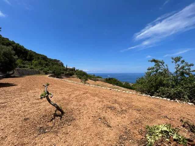 Lovely house on the front line. Banyalbufar, Mallorca. — photo 3