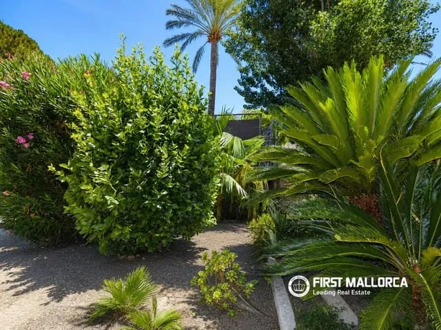 Finca/Country House for rent in Pollensa / Pollença, Mallorca — photo 2