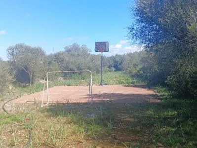 Country House - Manacor (Manacor Centro) — photo 12