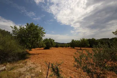 Buildable land for sale in Felanitx 1000m2 — photo 1