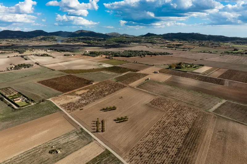 Mediterranean building plot with approved finca project and panoramic views near Manacor — photo 1