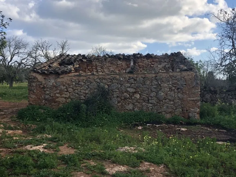 Reihenhaus mit Renovierungsprojekt in Es Llombards — photo 5