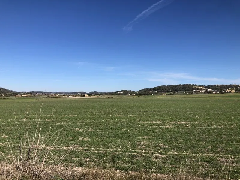 Beautiful plot with open views on the outskirts of Sant Joan — photo 4