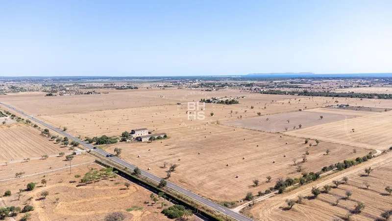 Rustic Finca for sale in Campos — photo 9