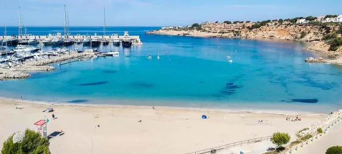 Ground floor apartment - Calvià (Port Adriano), Built Surface 74m², 2 Bedrooms, 1 Bathroom, 200 Distance to the... — photo 2