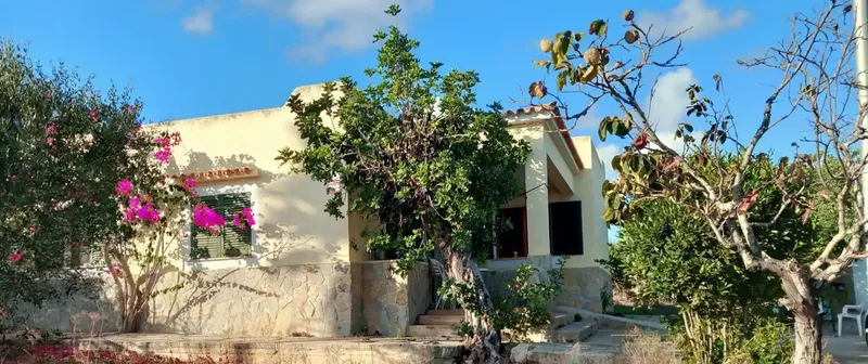Coqueta casa unifamiliar de 81 m² de una planta orientada al sur en terreno de 860 m² y jardín con árboles. — photo 2