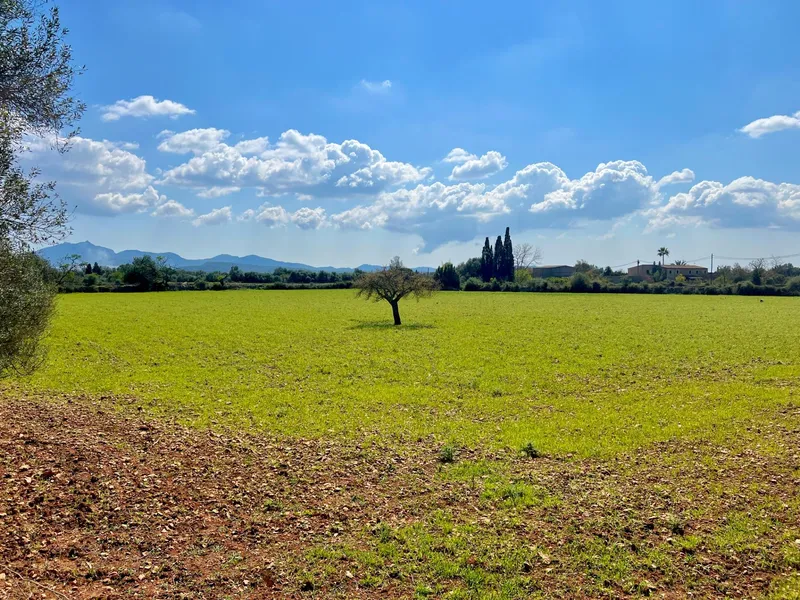 Rustic plot of 14,884 m² between Porreres and Felanitx with spectacular views of Sant Salvador — photo 10
