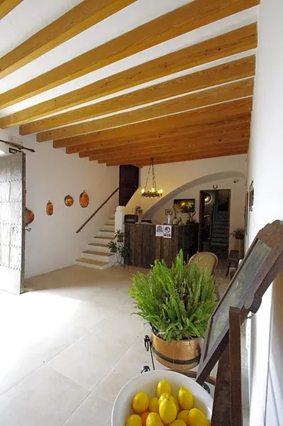 Agrotourism in Felanitx area for sale or rent — photo 9