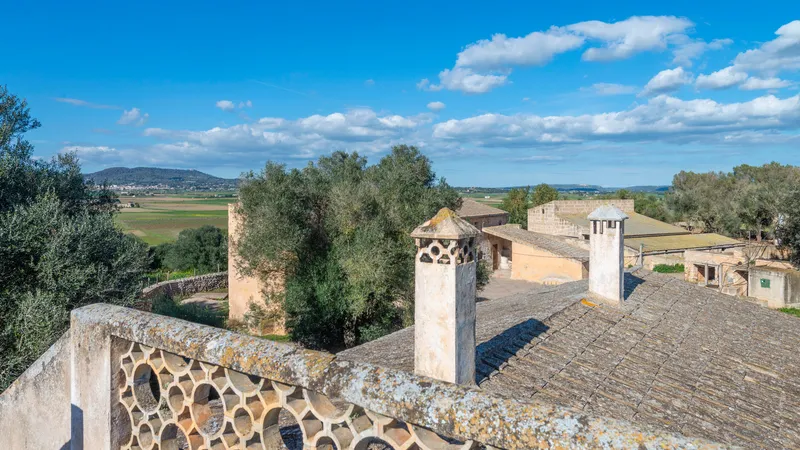 Fantastic finca in Vilafranca de Bonany with project and building license, large plot for investors — photo 8