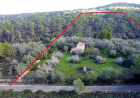 Exceptional Rustic Plot with Building License — photo 11