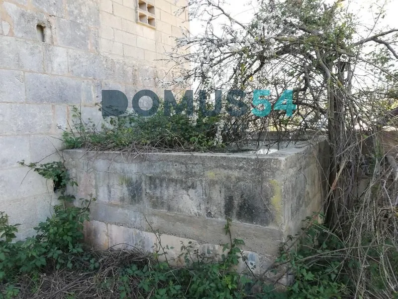Rustic land not for building in Campanet — photo 10