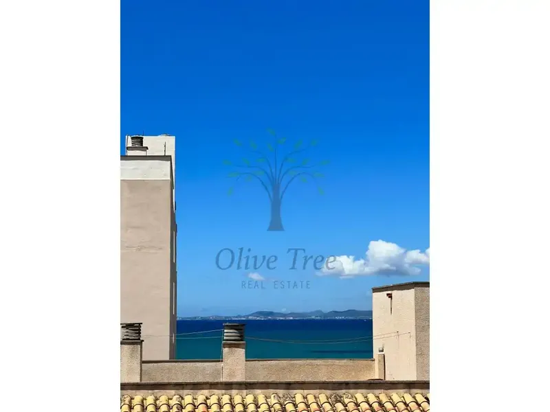 Reformed penthouse with terrace a few steps from the sea in S'Arenal — photo 3
