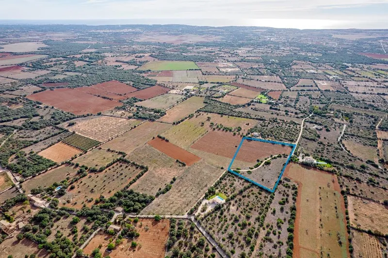 Plot in Ses Salines: The Perfect Place to Create Your Home in Mallorca — photo 7