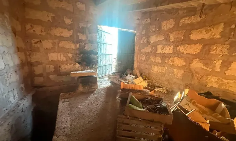 Rustic finca in Sant Joan — photo 5