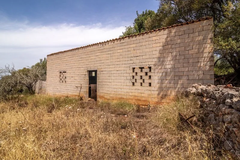 Rural or Farmhouse in Costitx, Province of Balearic Islands — photo 7
