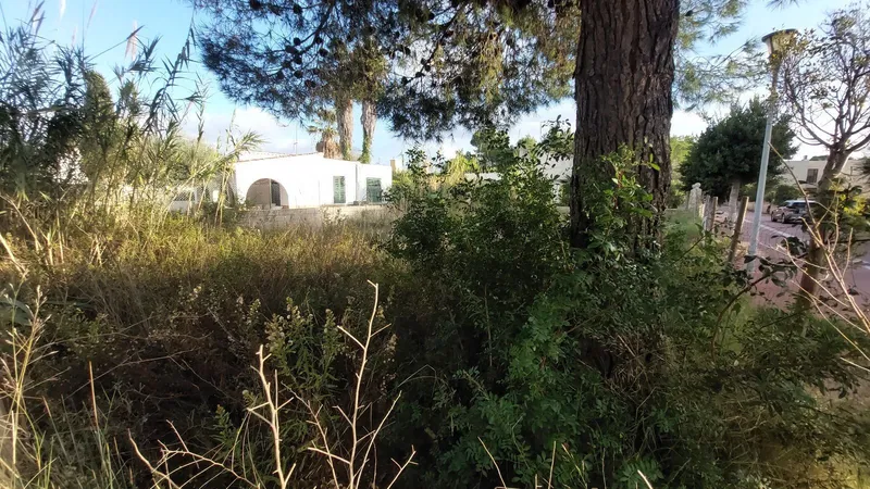 Urban plot of 270 m² in Puerto Alcúdia — photo 3