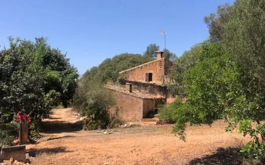 Rustic Finca in Campos — photo 4