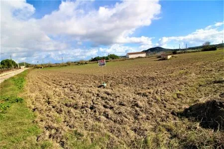 Rural Land - Sineu, Plot Surface 28600 m² — photo 11