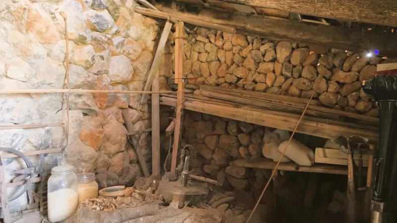 Olive grove in Fornalutx with tool shed — photo 6
