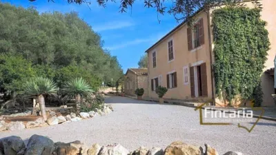 Rustic finca on the road from Manacor to Porto Cristo — photo 6