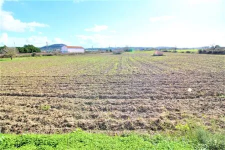 Rural Land - Sineu, Plot Surface 28600 m² — photo 10