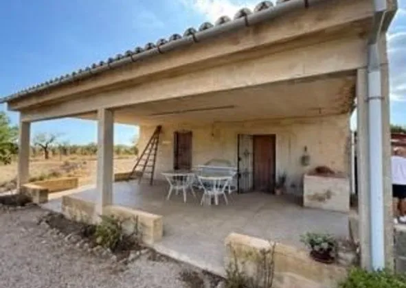 Estate in Camino Ca 's Padrins, Calvià pueblo, Calvià — photo 2