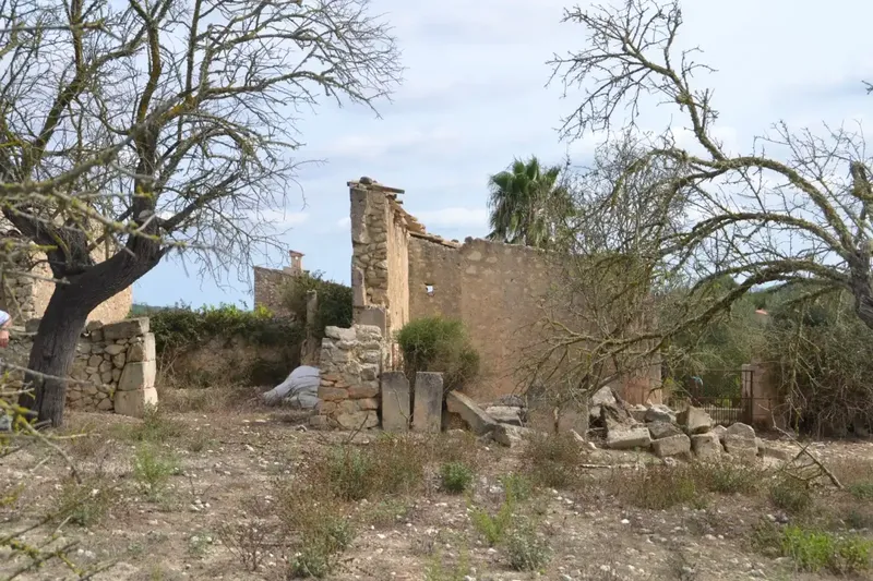 In the middle of Pla de Mallorca, in the municipality of Sineu, we have this finca of about 14,590 m2 of land, fenced finca with several rows of — photo 7