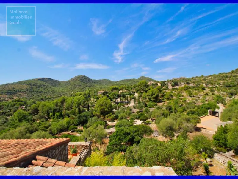 Finca close to Son Servera — photo 12