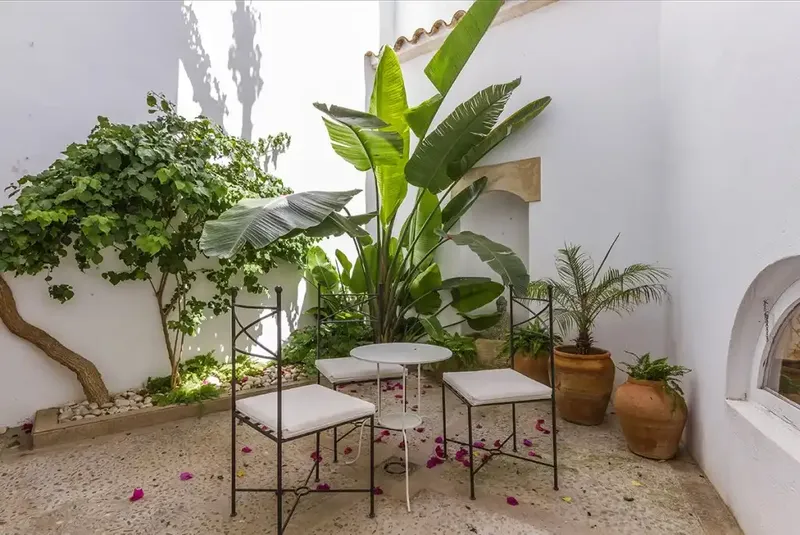 Unique, spacious family townhouse with the best rooftop in the city. With private pool and fantastic chill-out areas, as well as u — photo 11