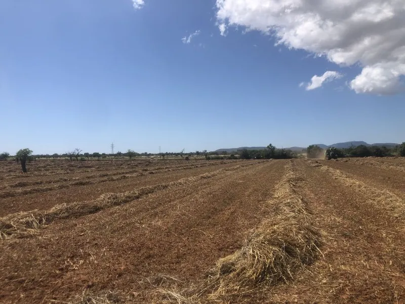 Plot with beautiful open views on a quiet plot 5 minutes from Campos — photo 4