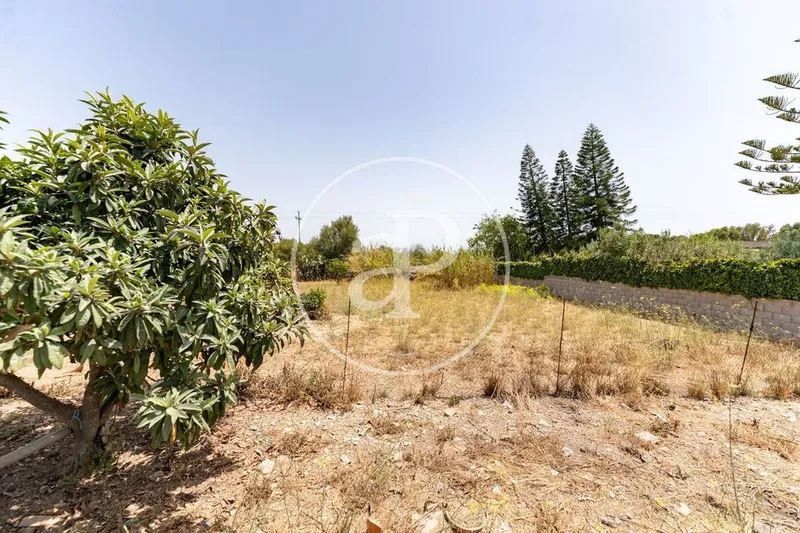 Land in Binissalem, Province of Balearic Islands — photo 9