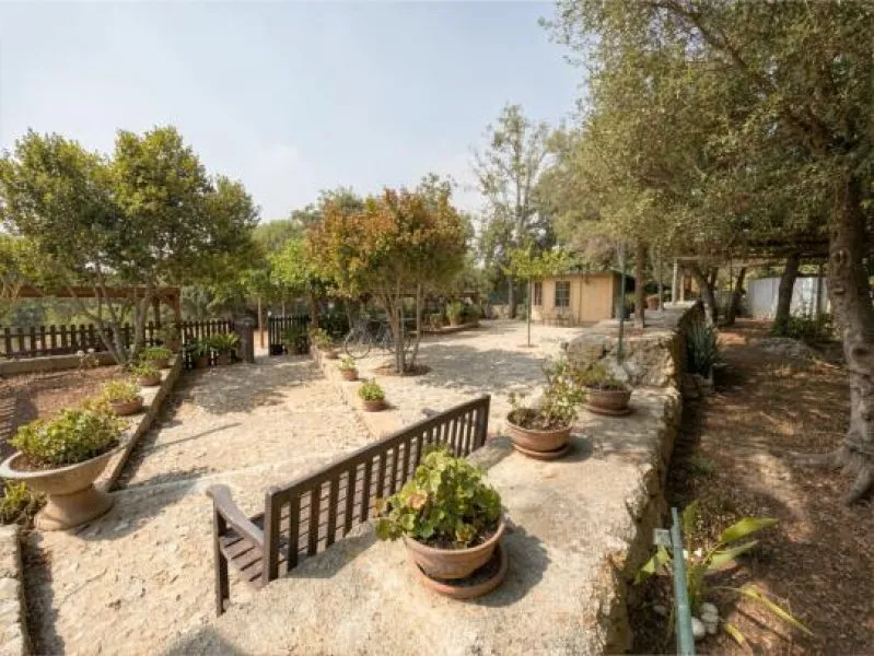 Finca with renovated stone house for sale near Inca — photo 7