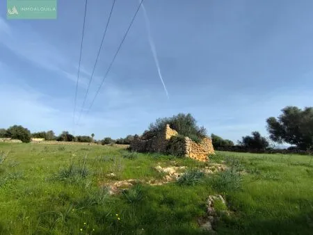 Rustic property - Santa Margalida, Built Surface 50m², Plot Surface 15767m², 1 Room, 1 Bathrooms — photo 10