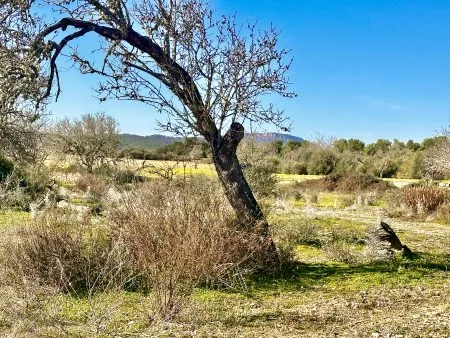 Building plot with project in a fantastic location — photo 1