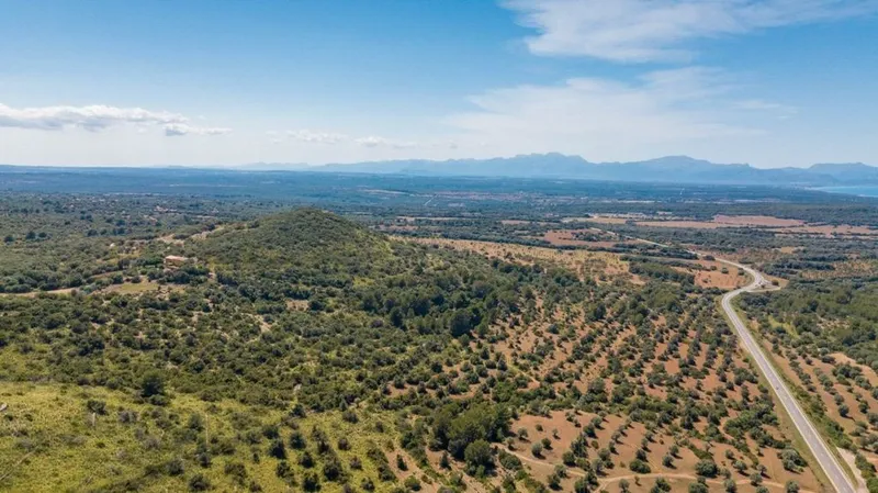 Rural or Farmhouse in Artà, Province of Balearic Islands — photo 12